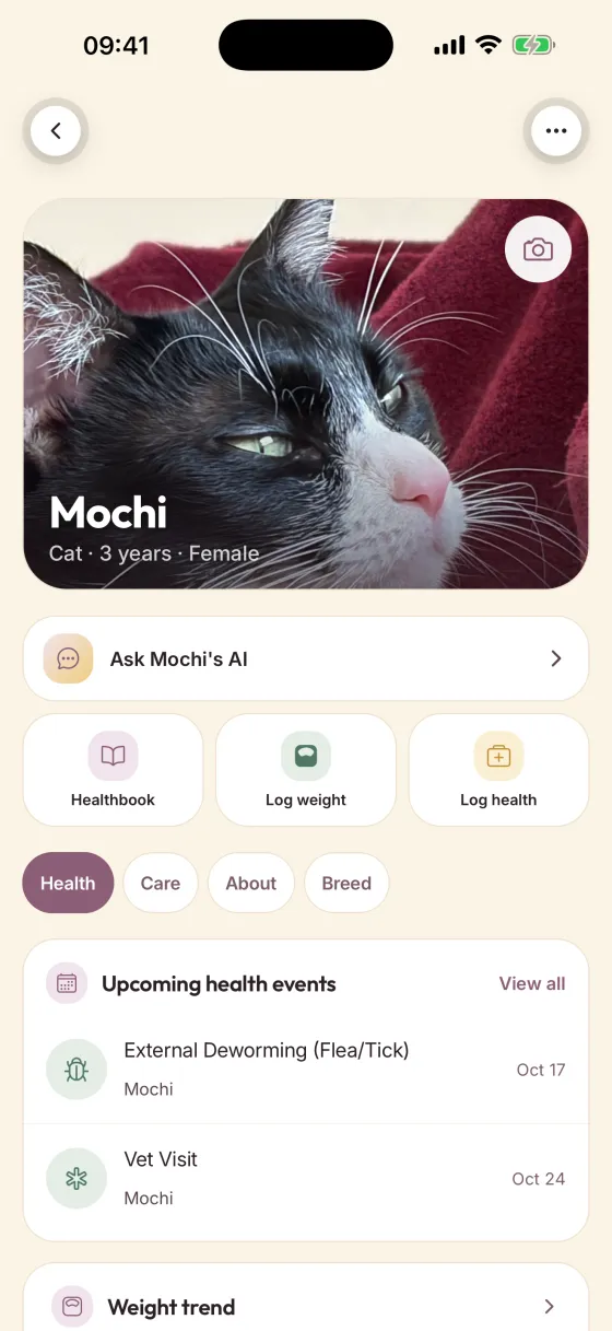 A pet's page in Gatsou — photo, age, and the care coming up